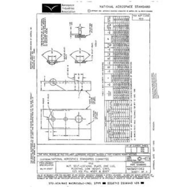 AIA NASM21062