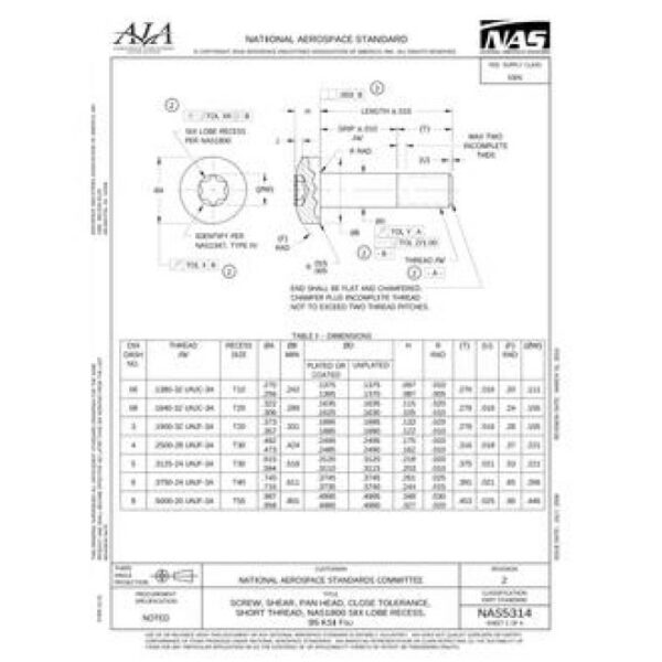 AIA NAS5314