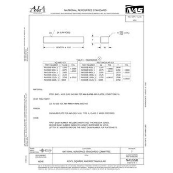 AIA NAS558