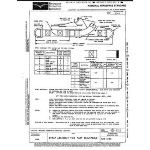 AIA NAS1383