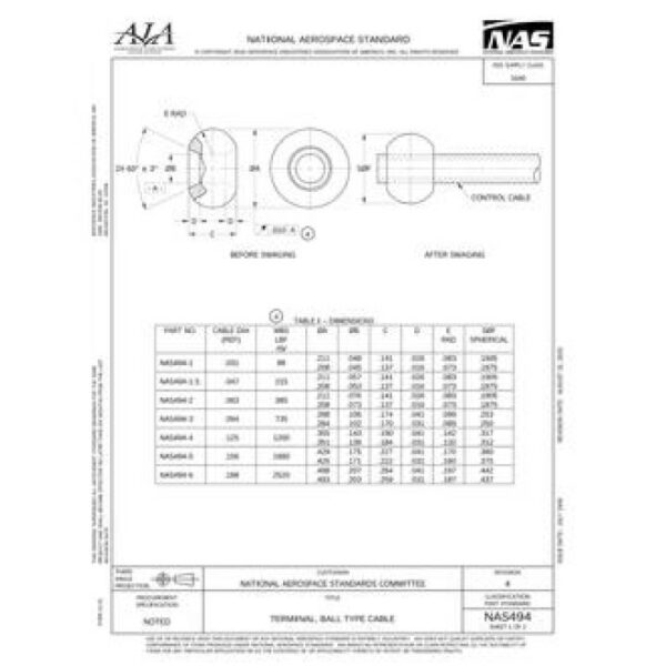 AIA NAS494