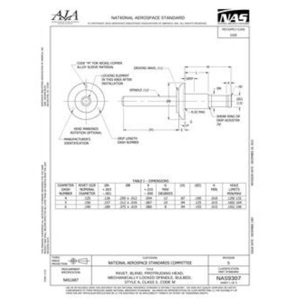 AIA NAS9307