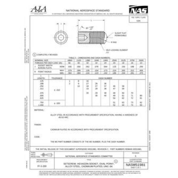 AIA NASM51981