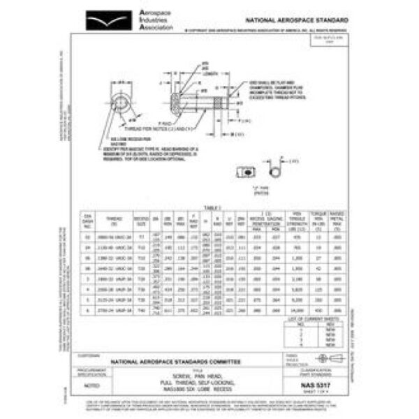 AIA NAS5317