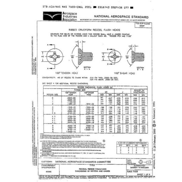 AIA NAS7100