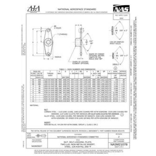 AIA NASM21078