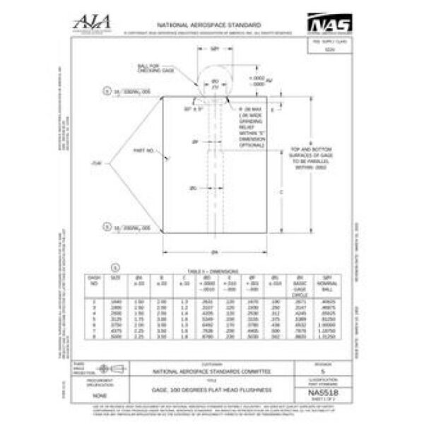 AIA NAS518