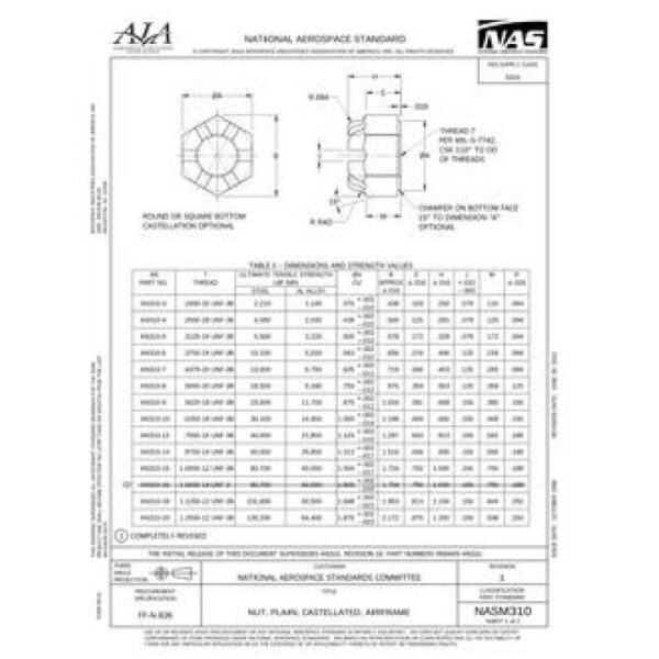 AIA NASM310