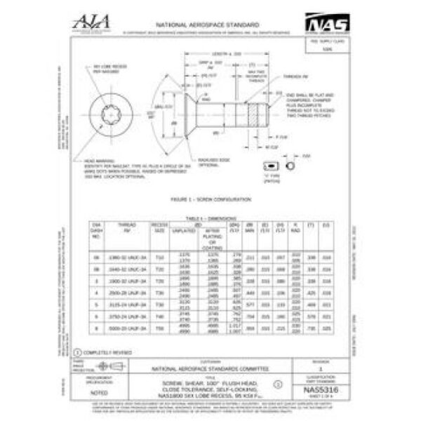 AIA NAS5316