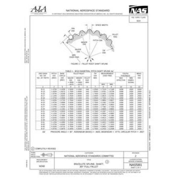 AIA NAS581