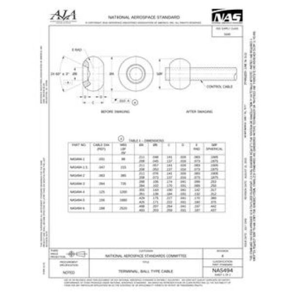 AIA NAS494