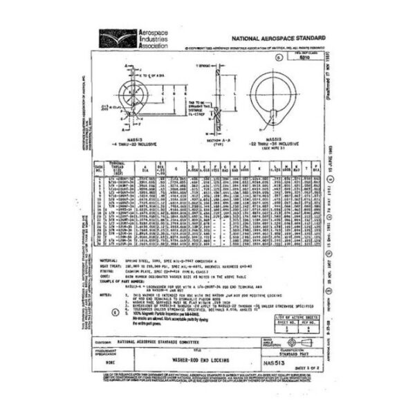 AIA NAS513