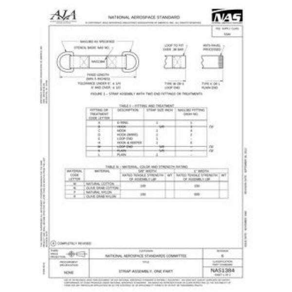 AIA NAS1384