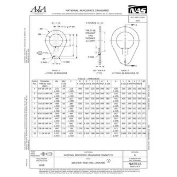 AIA NAS513