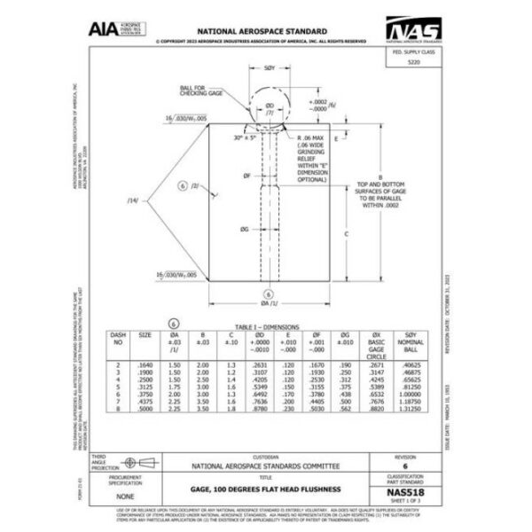 AIA NAS518