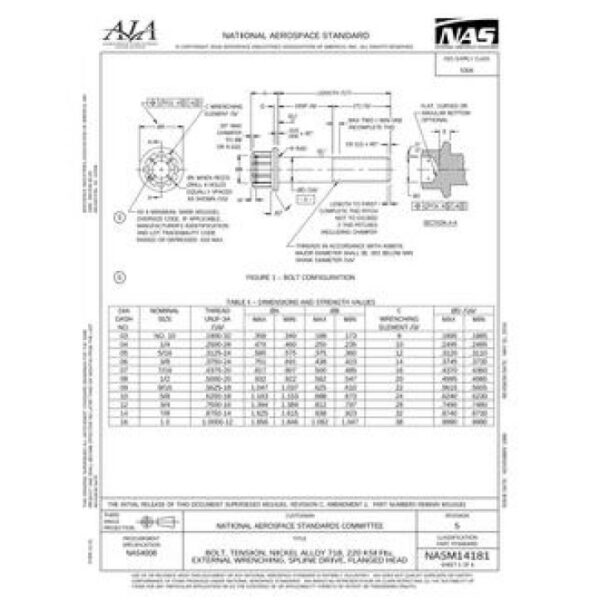 AIA NASM14181