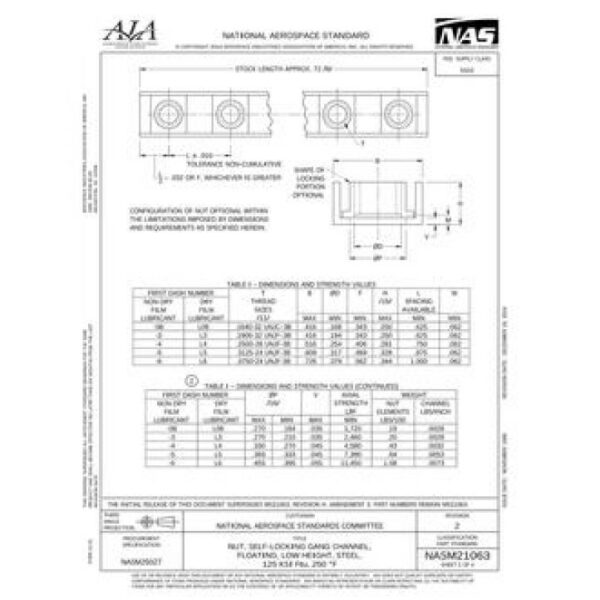 AIA NASM21063