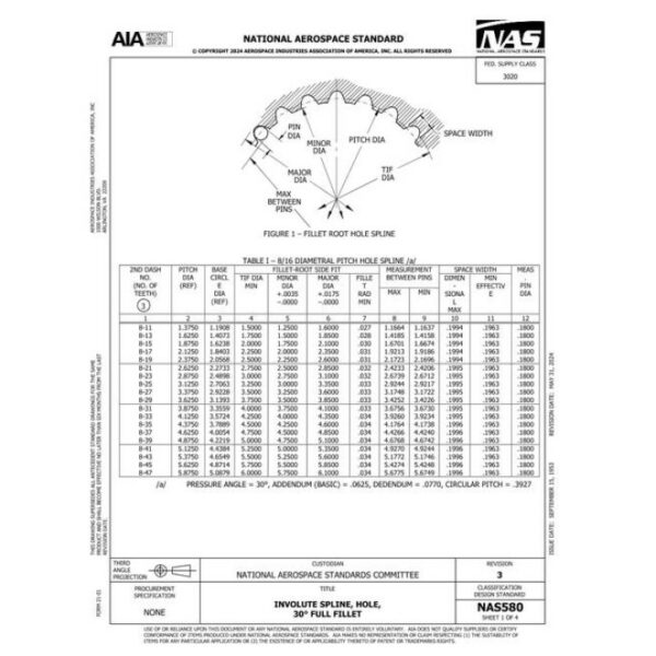 AIA NAS580